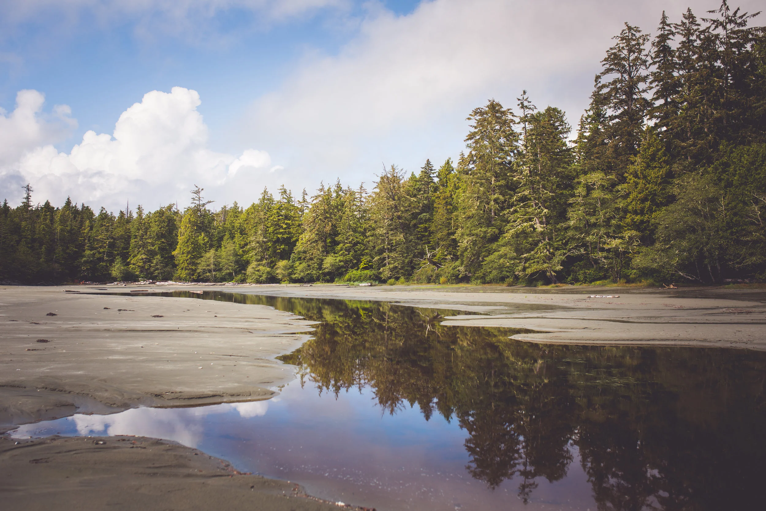 Midde Beach Tofino BC Elopement