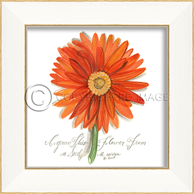 35044%20SS%20%20Orange%20Flower%20Grown%20from%20a%20Seed%20copy[1].jpg