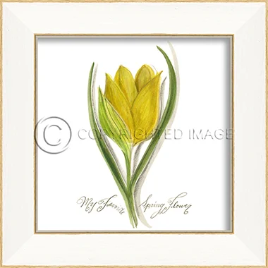 35049%20SS%20Yellow%20Spring%20Tulip%20copy[1].jpg