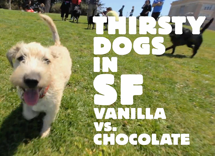 Screenshot 2026-04-12 at 11.24.47 AM.png