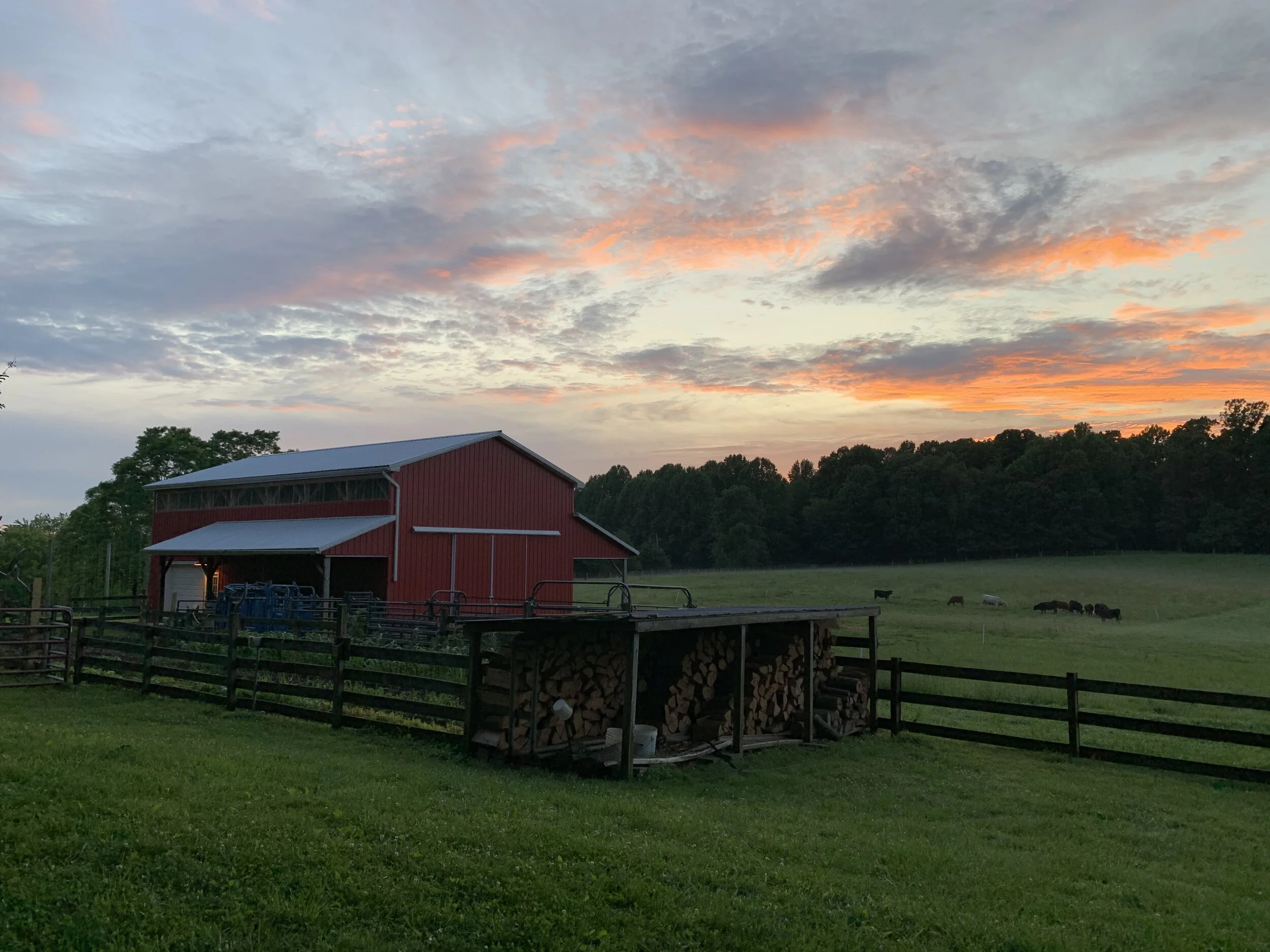 Sunset Barn.jpg