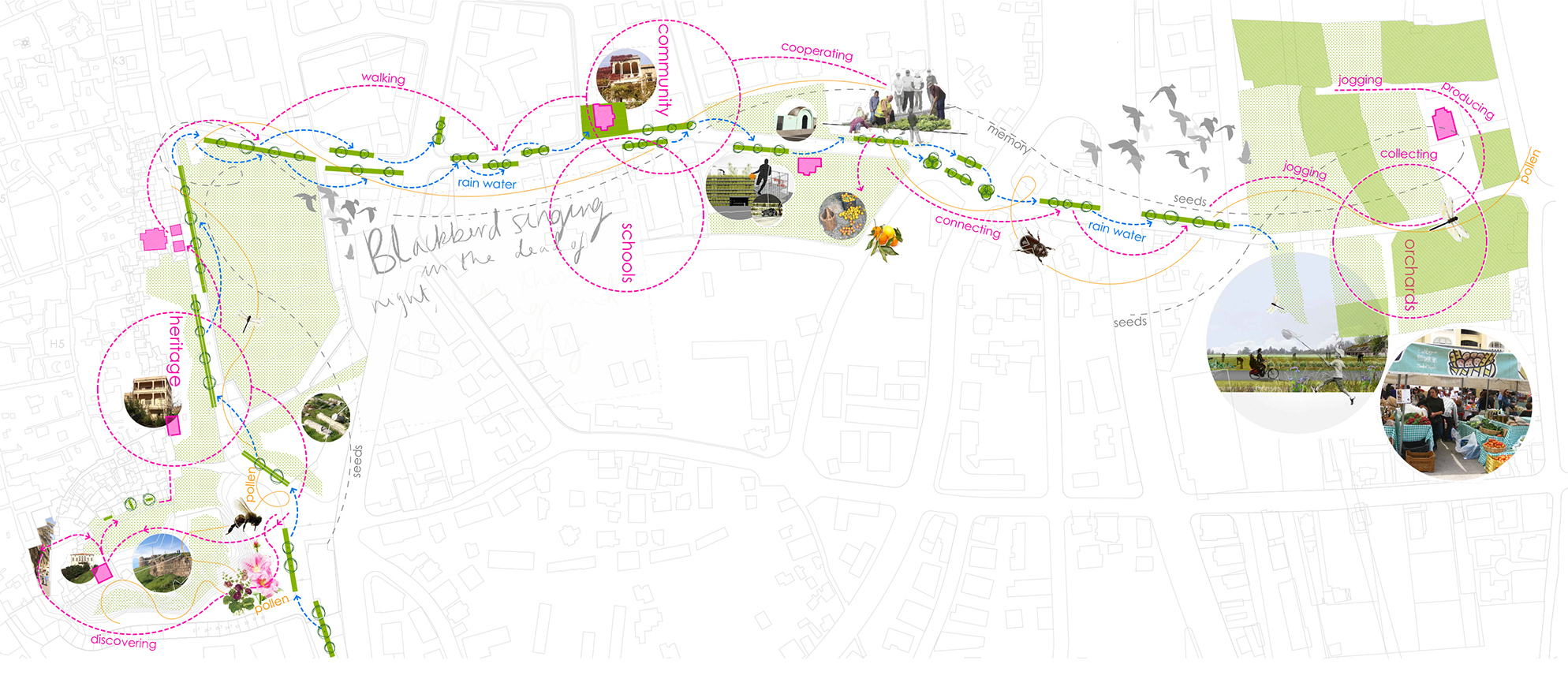 sheet-2-detail-1-rotated.jpg