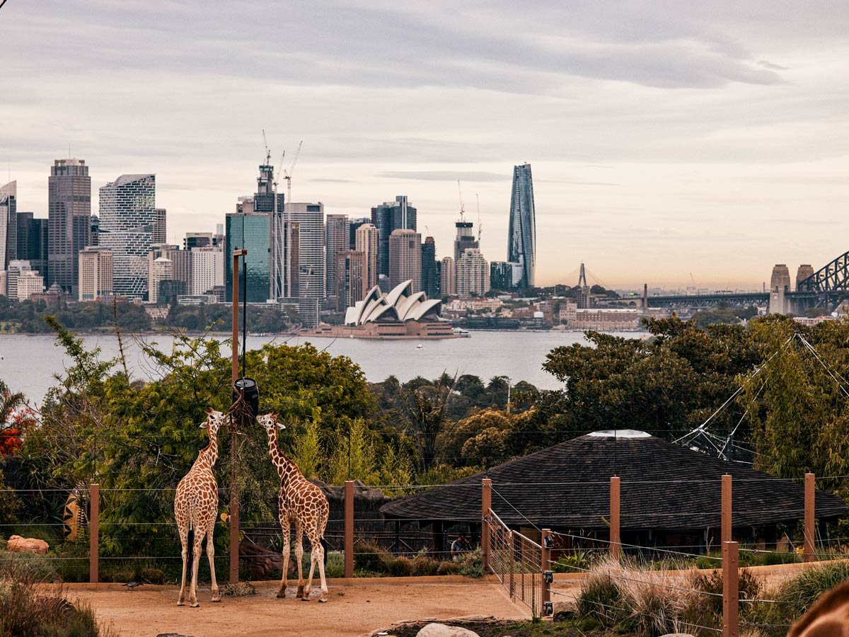 Taronga.jpg