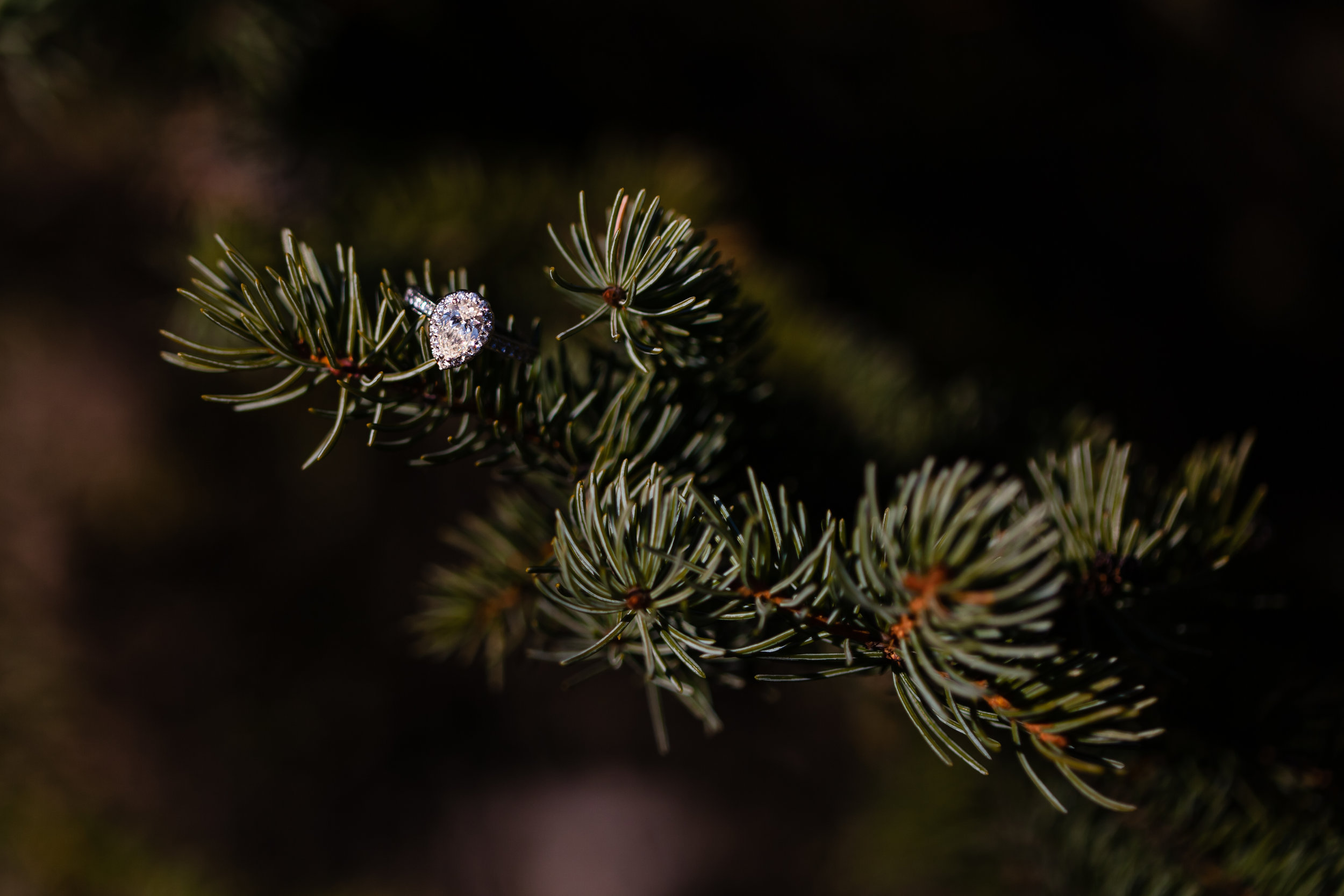 K+J Engaged-37.jpg