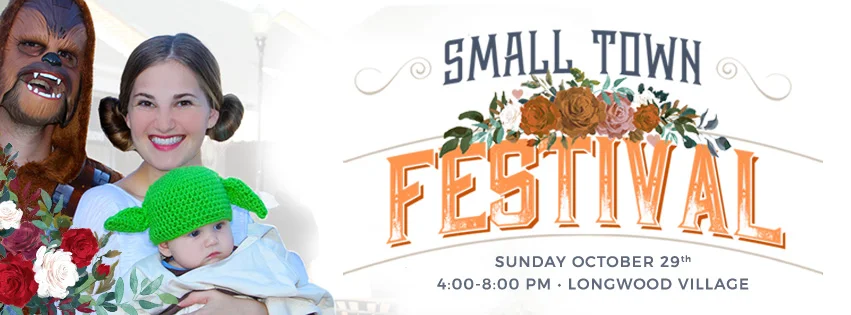 Small-Town-Festival-(Facebook-Cover).jpg