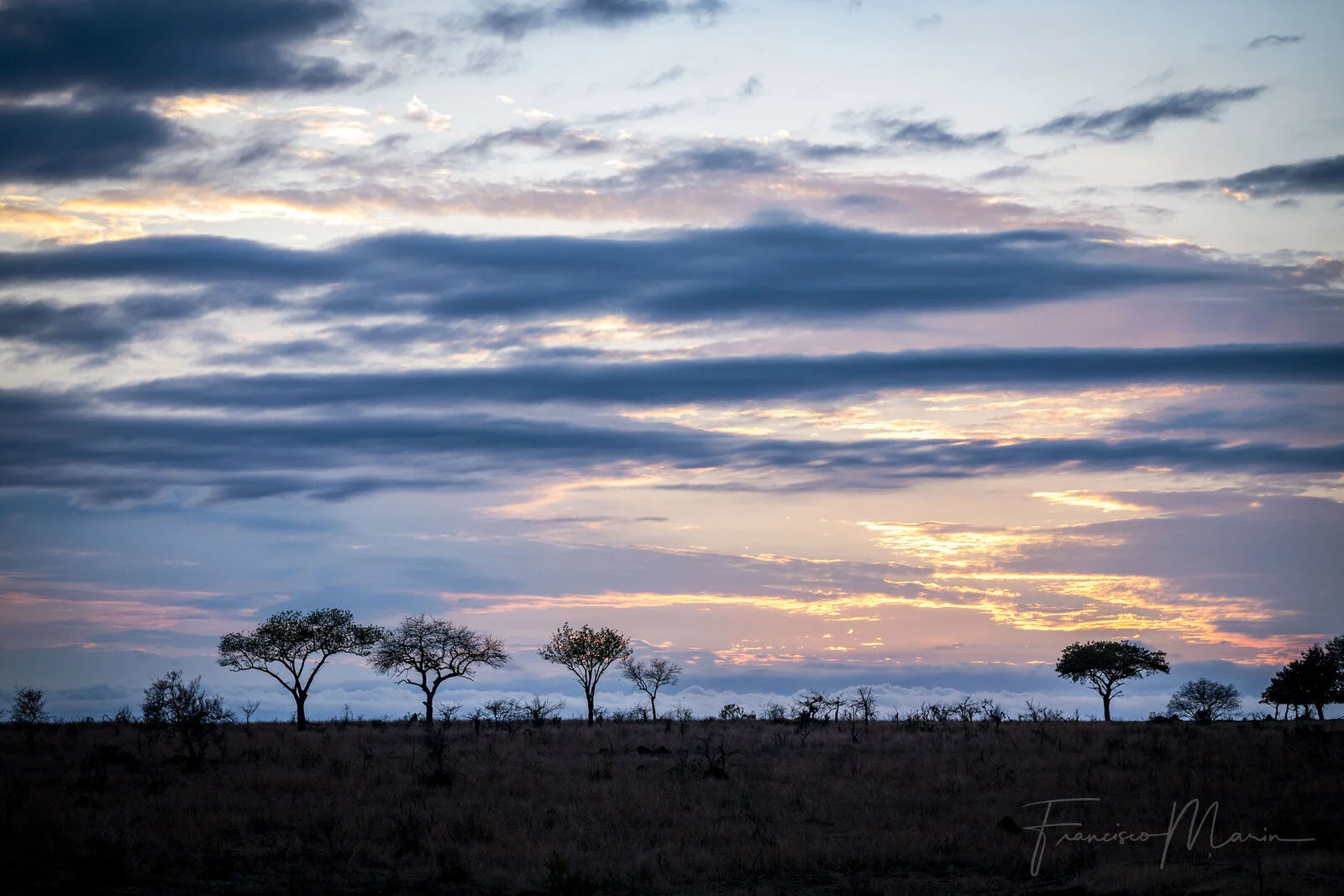 SAFARI SOUTH AFRICA-1.JPG