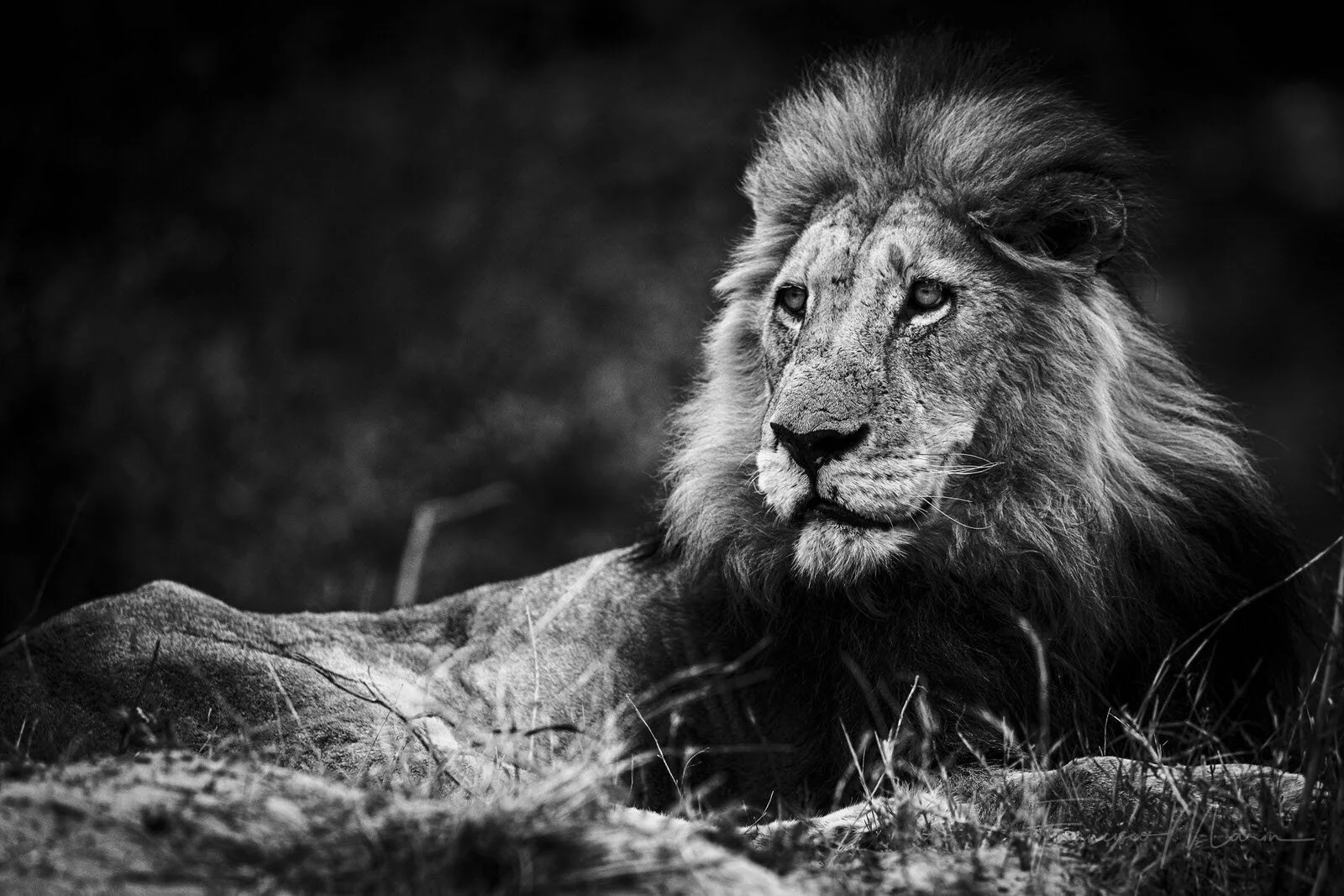 SAFARI SOUTH AFRICA-4.JPG