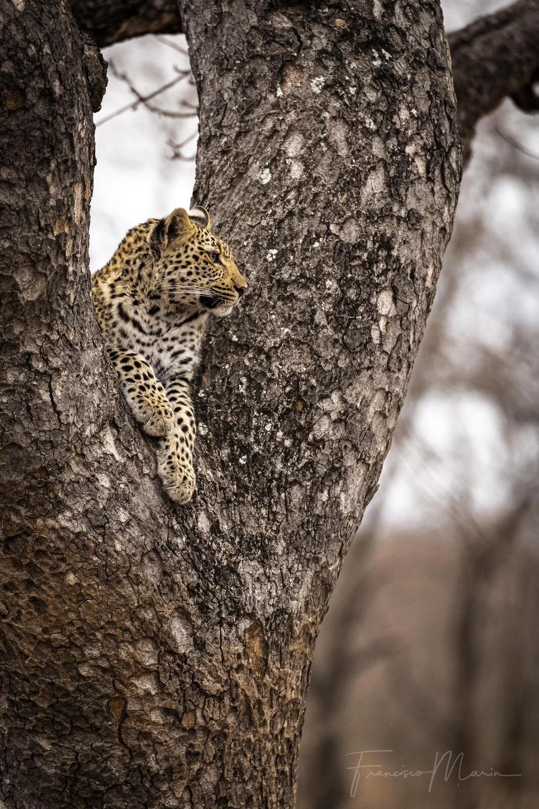 SAFARI SOUTH AFRICA-12.JPG