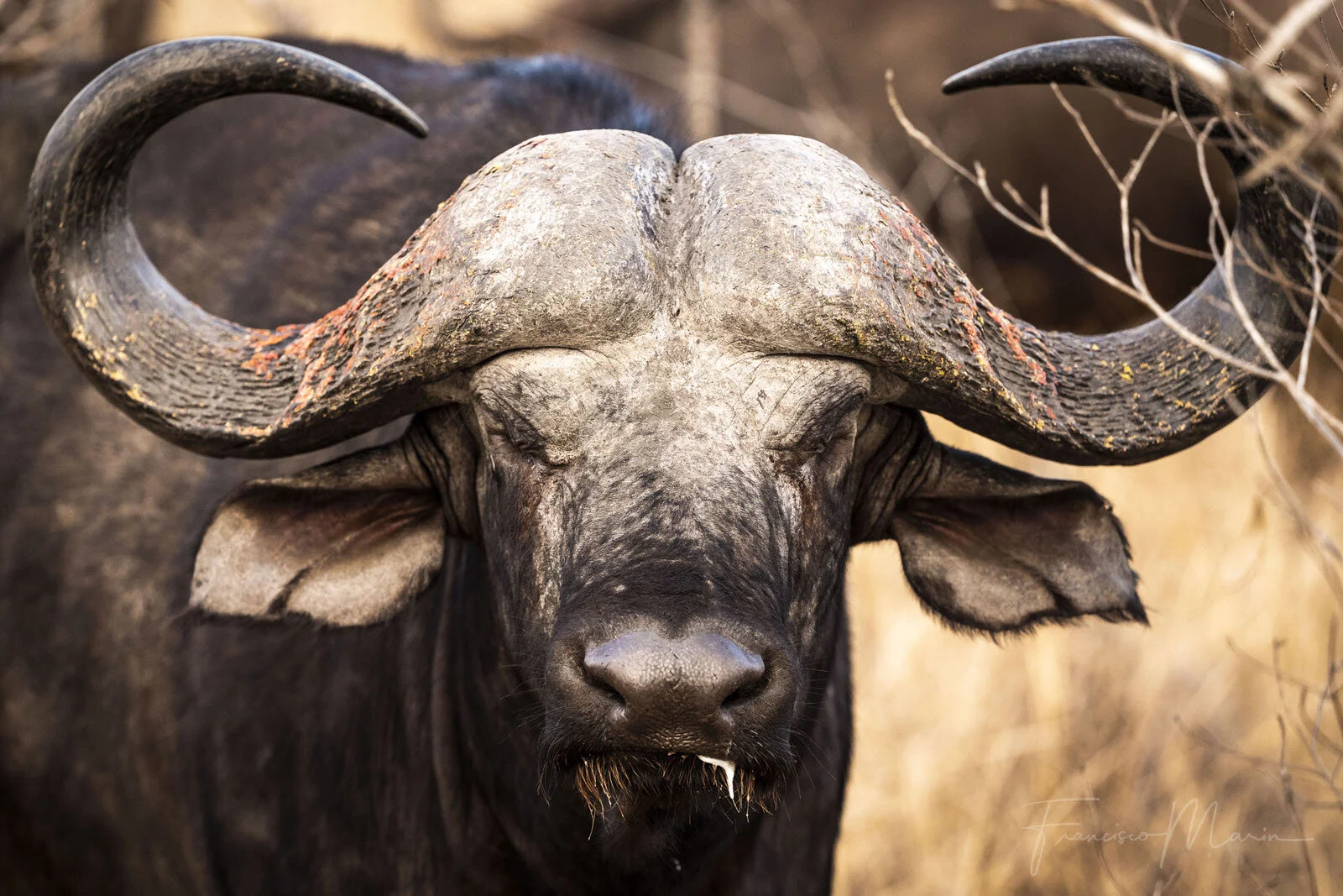 SAFARI SOUTH AFRICA-15.JPG