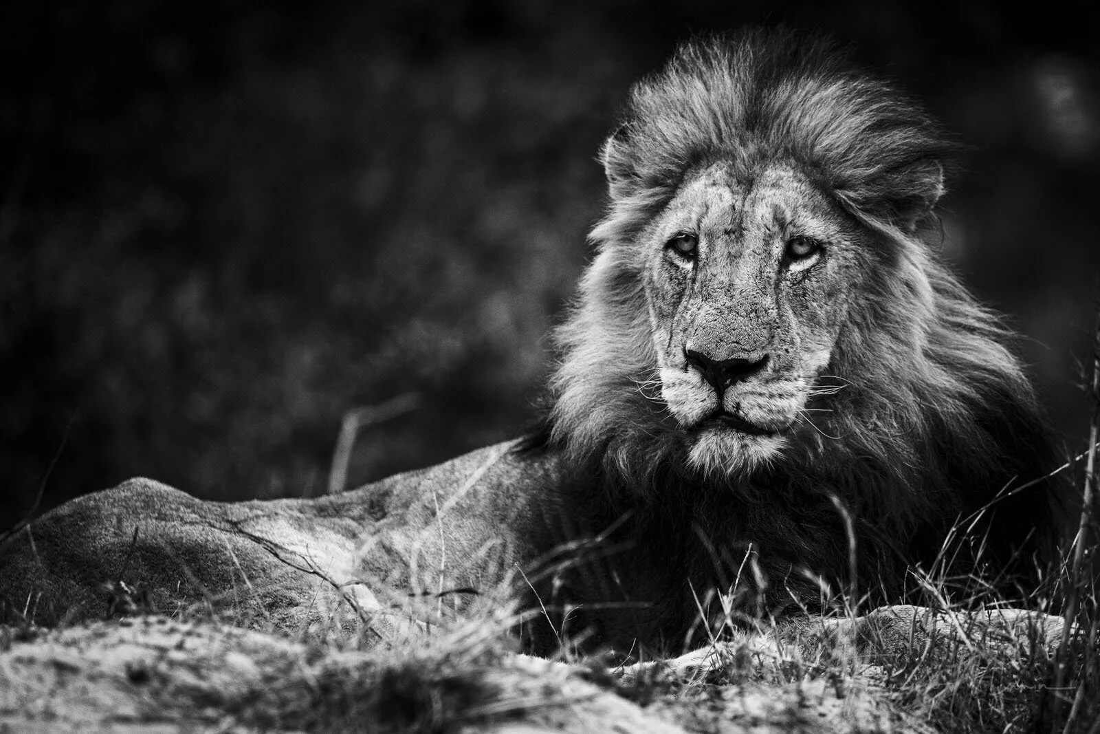 SAFARI SOUTH AFRICA-22.JPG