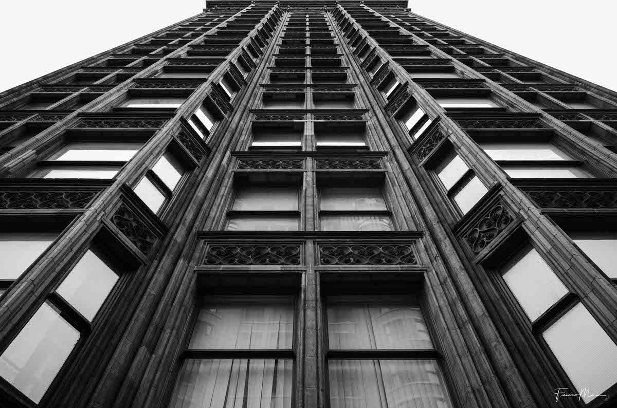 Windows_in_Chicago-1.jpg