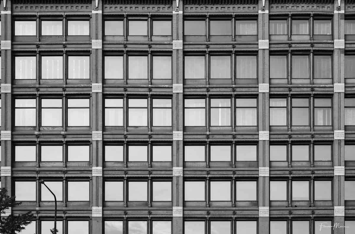Windows_in_Chicago-4.jpg