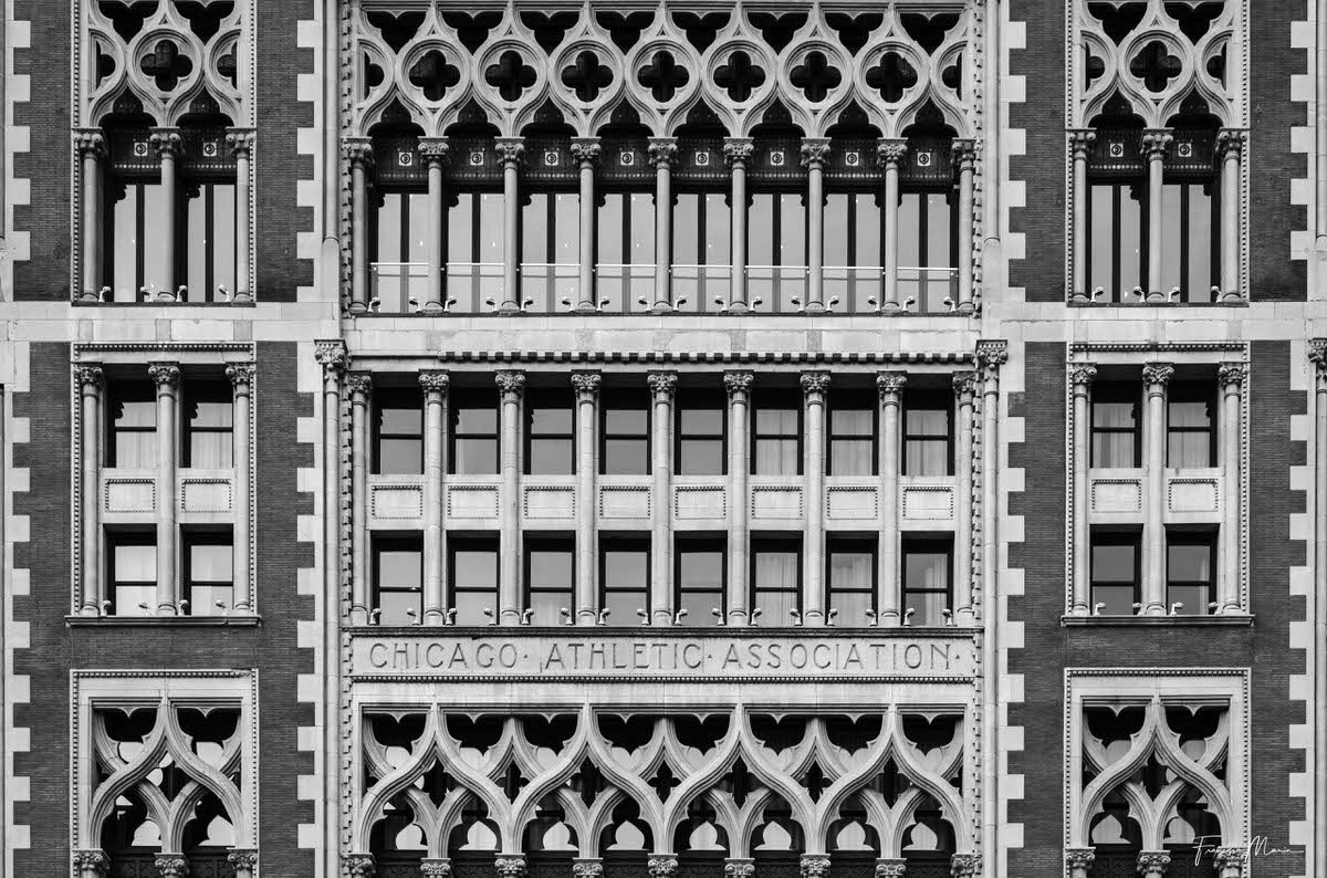 Windows_in_Chicago-5.jpg