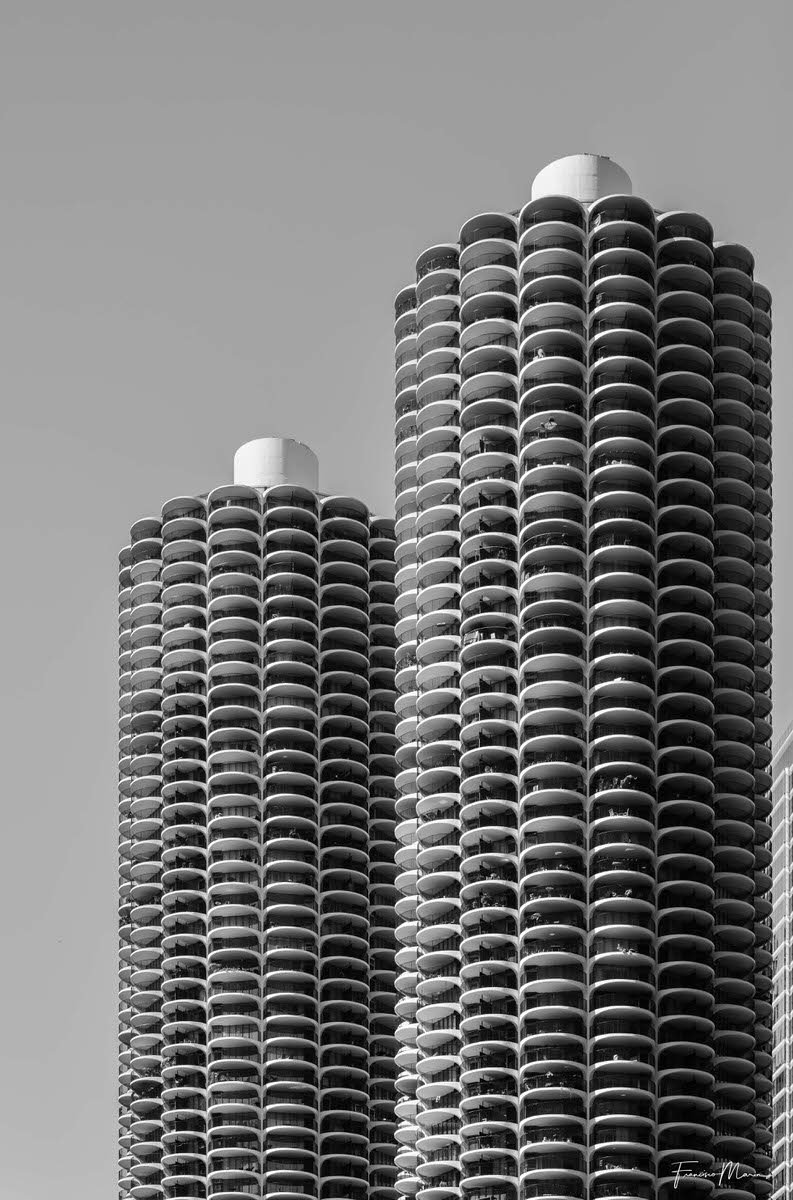 Windows_in_Chicago-15.jpg