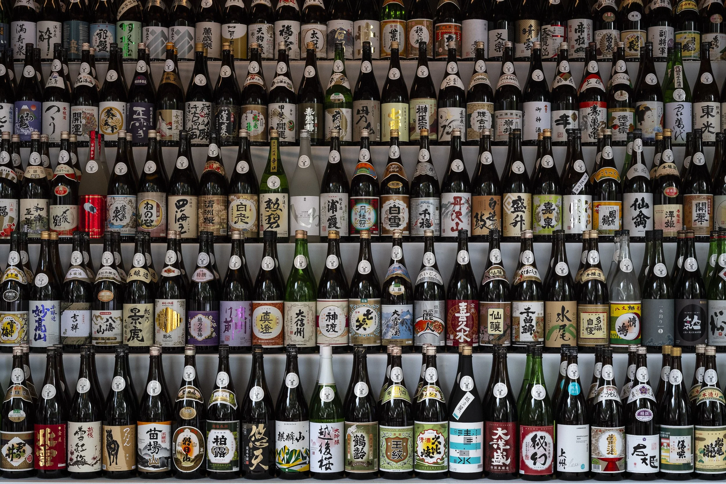 Japan-3.jpg