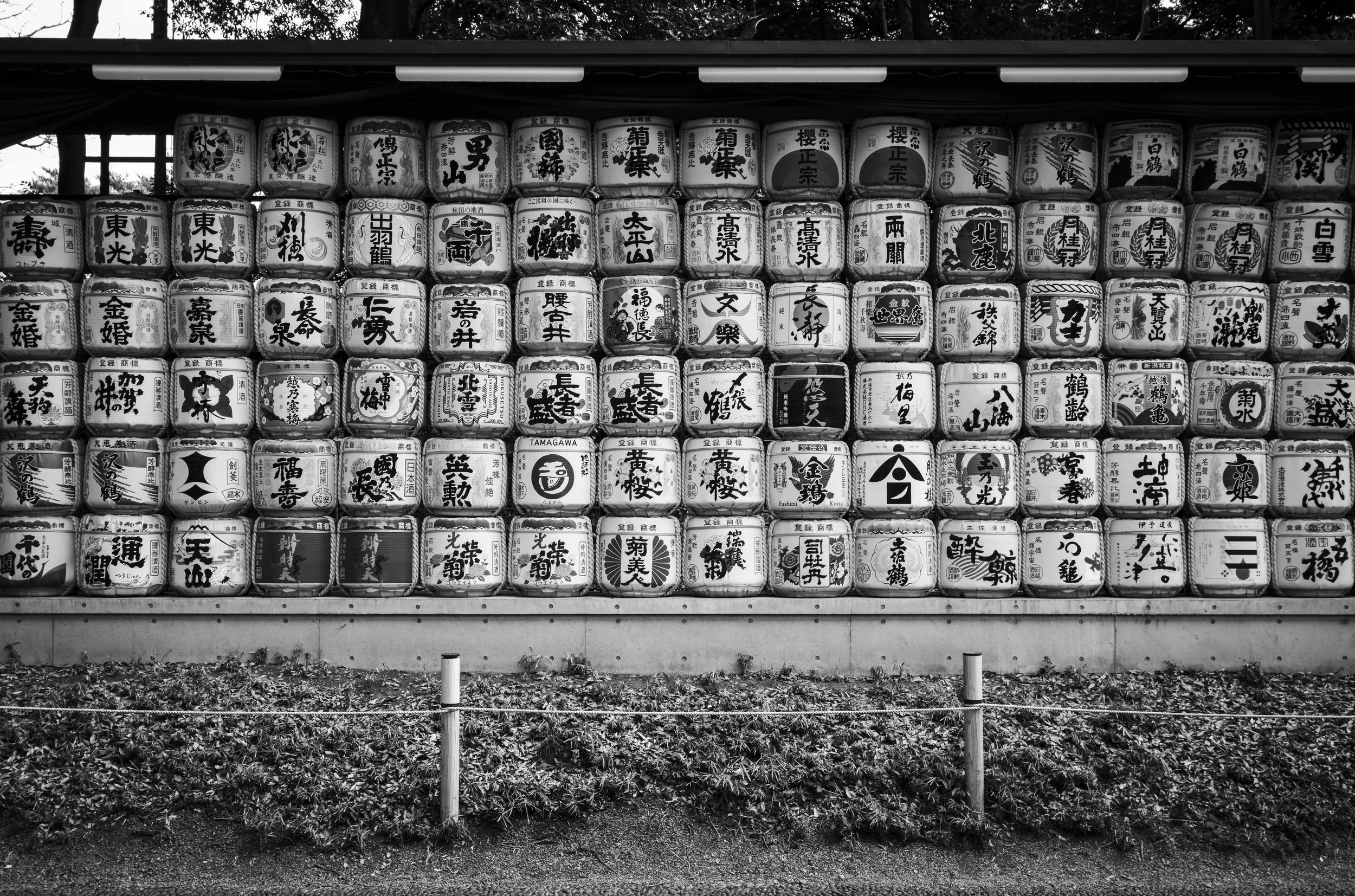 Japan-41.jpg