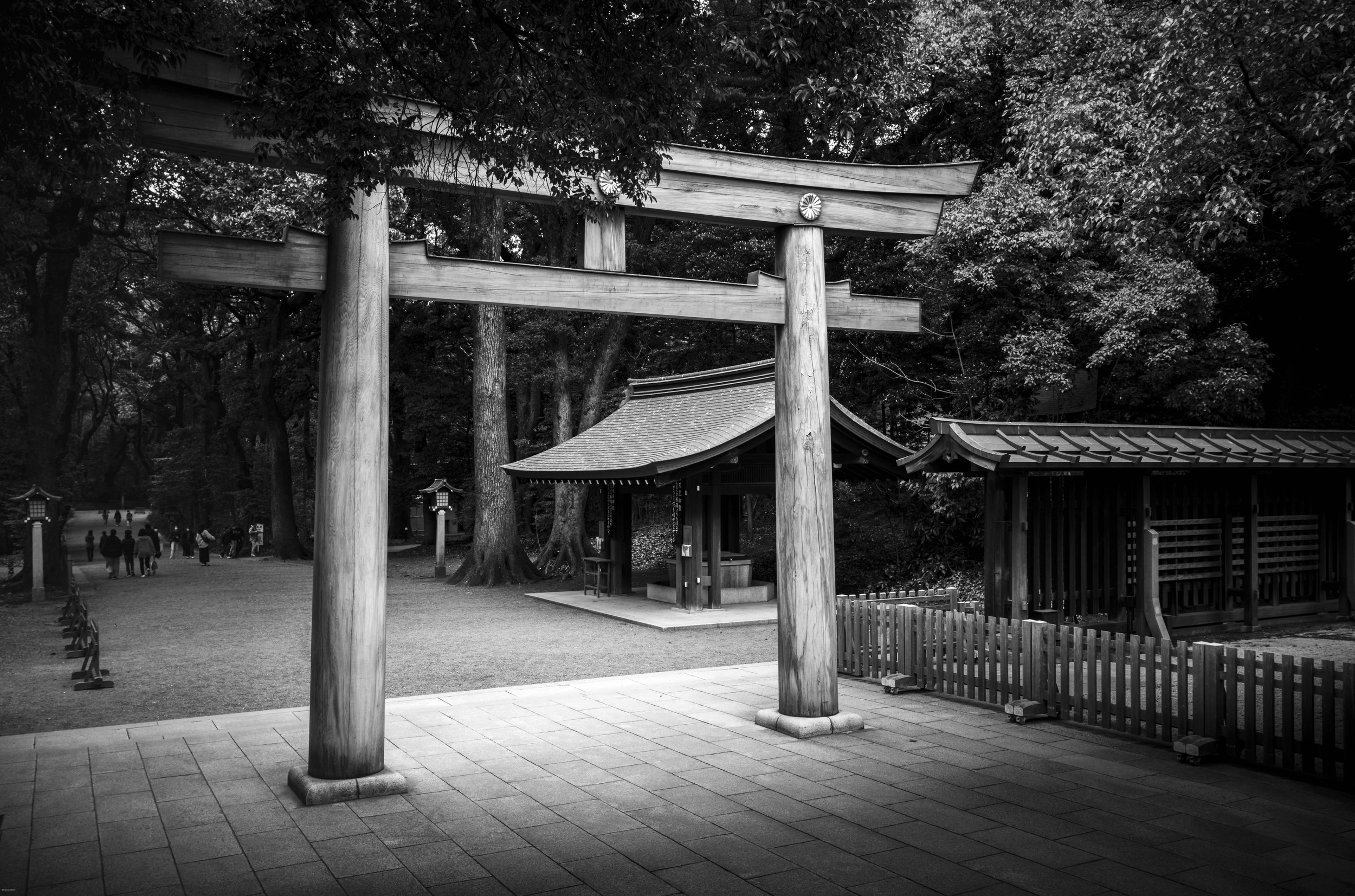 Japan-43.jpg