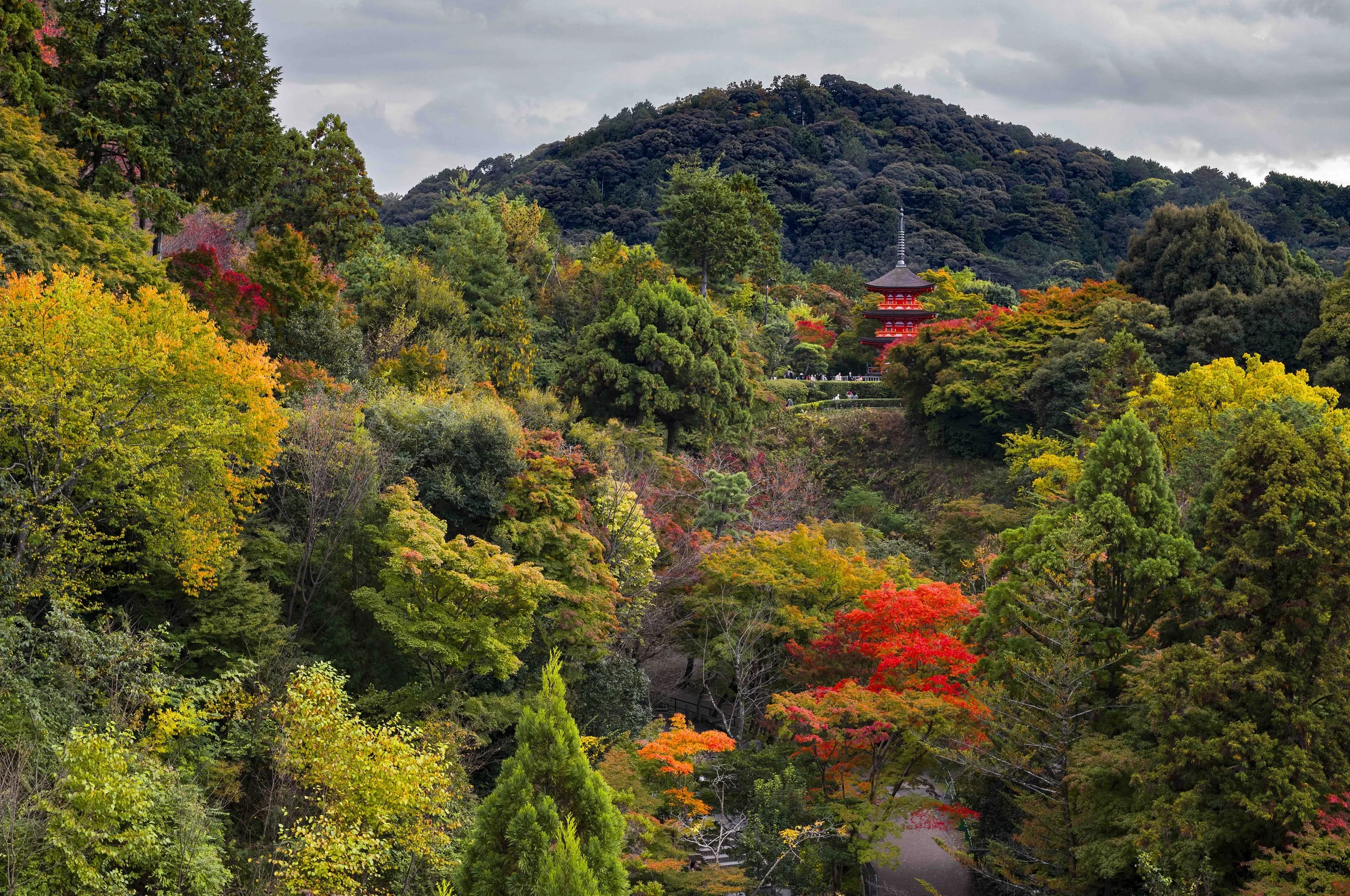 Japan-47.jpg