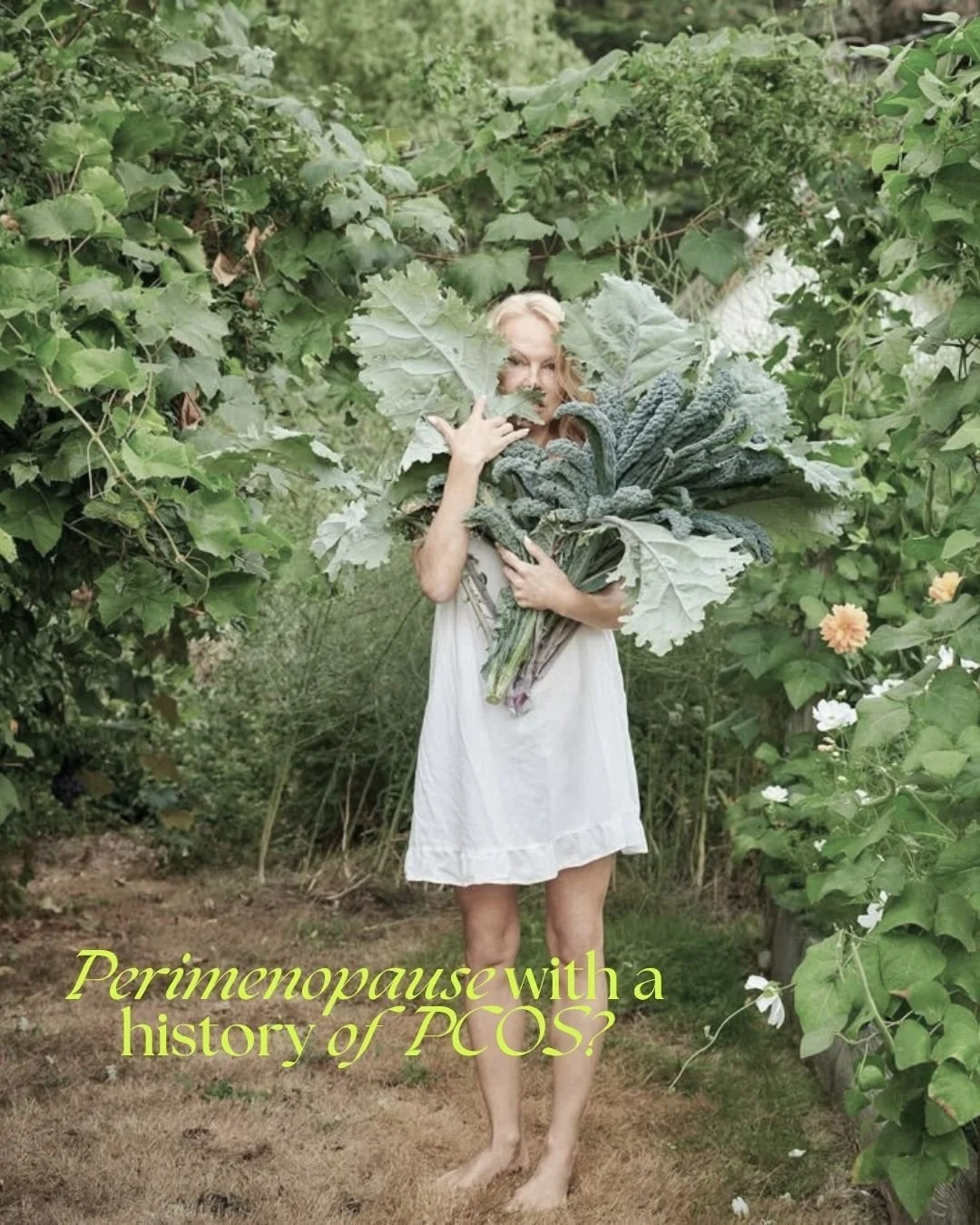 Navigating perimenopause with a history of PCOS? 🌸 

If you&rsquo;ve been previously diagnosed with PCOS, the perimenopause transition can bring up a whole new set of questions - and the answers aren&rsquo;t always clear-cut.
Hormones are changing (