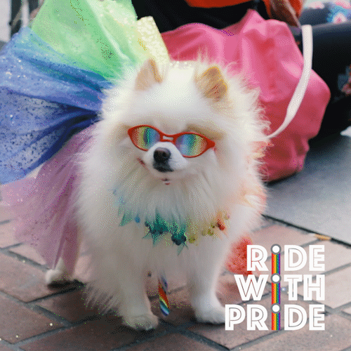 RWP_DOGGIE_V3.gif
