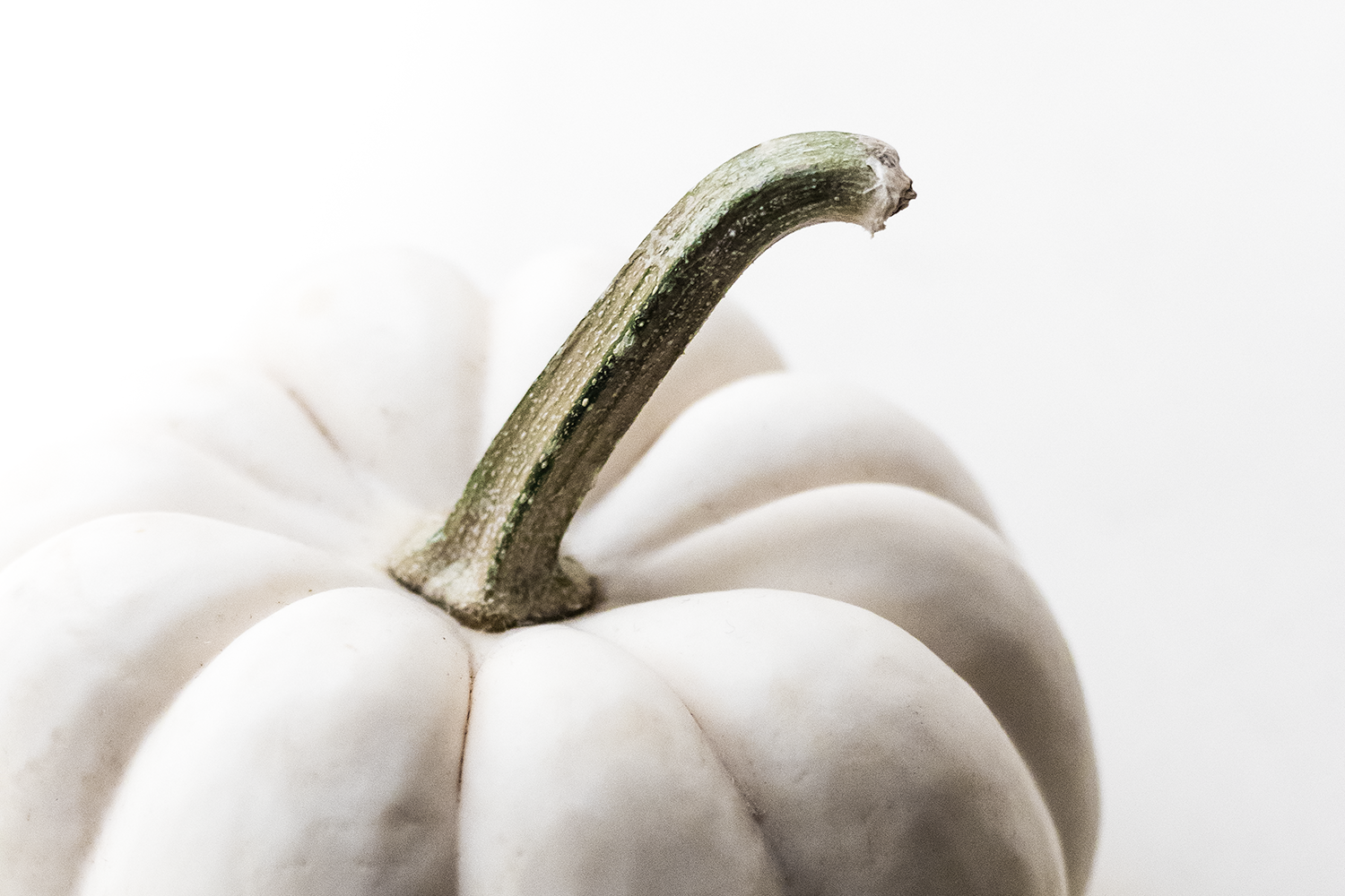 intentional-autumn-header.png