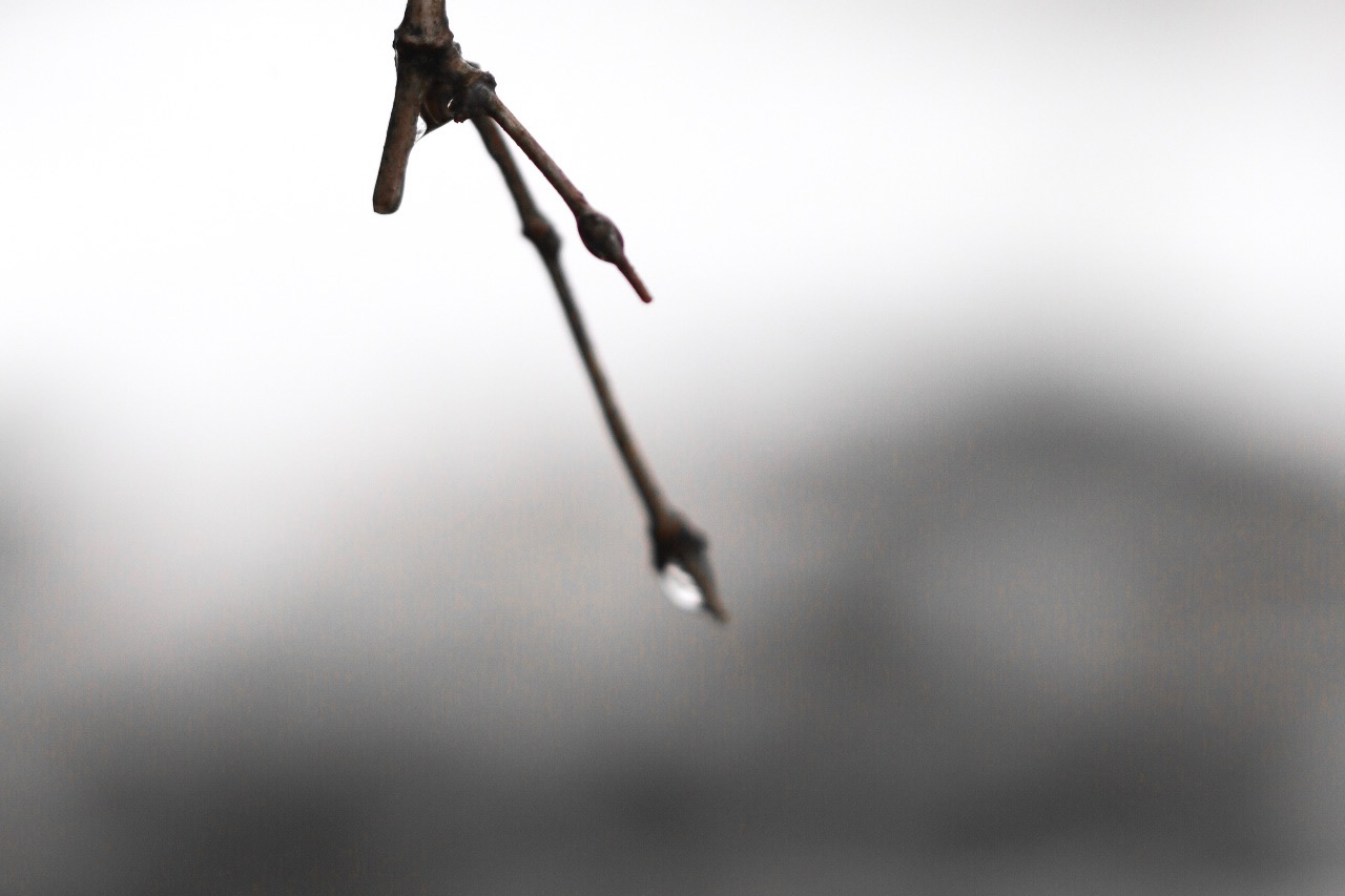 motified-home-banner2.png