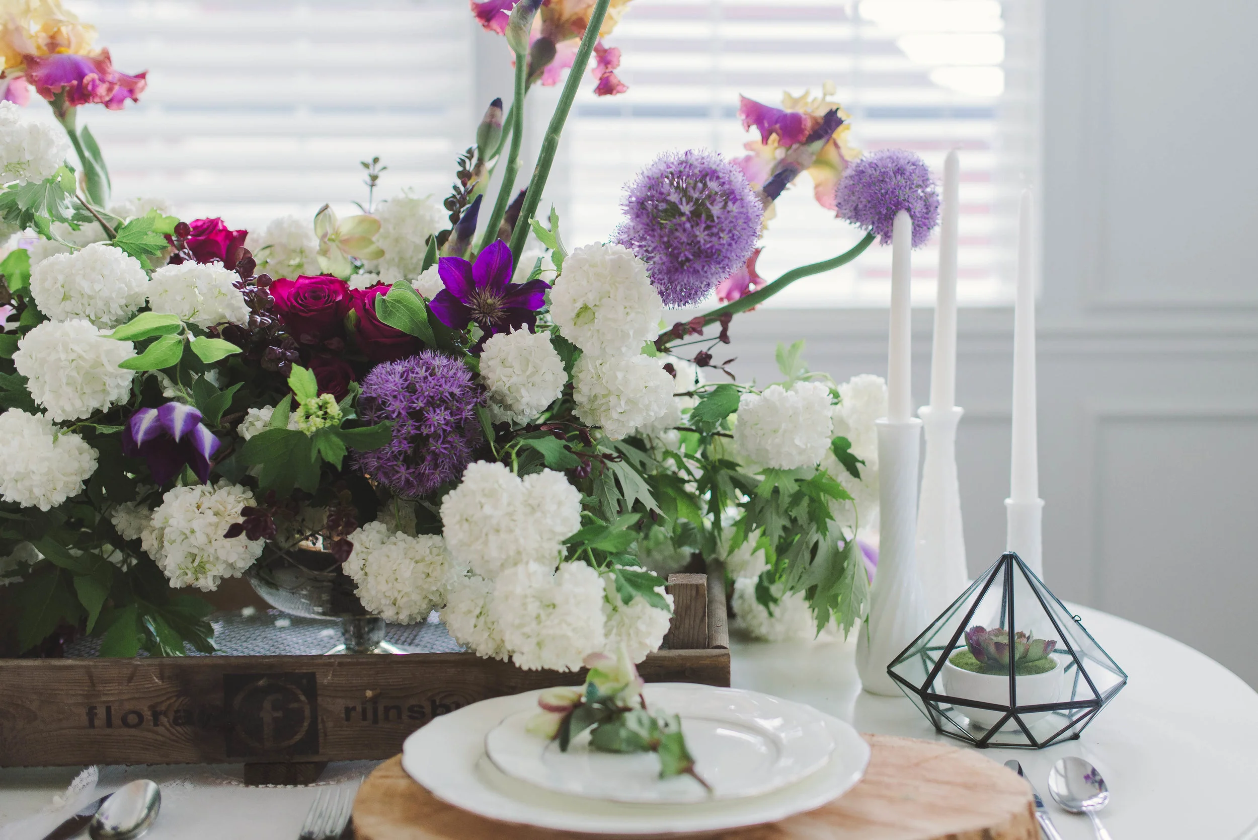 NFP_gardenshoot-76.jpg