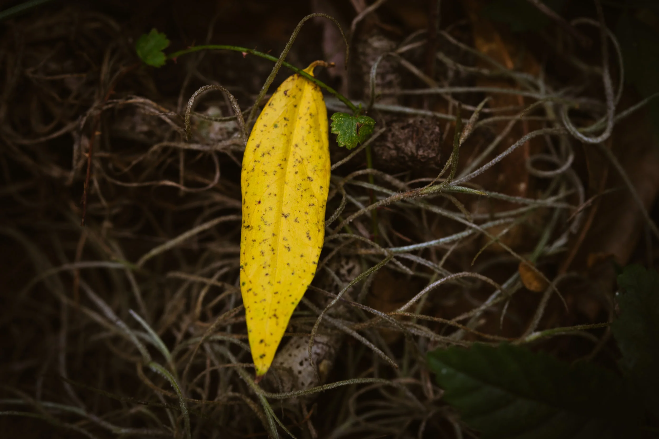 05may012019-24.jpg