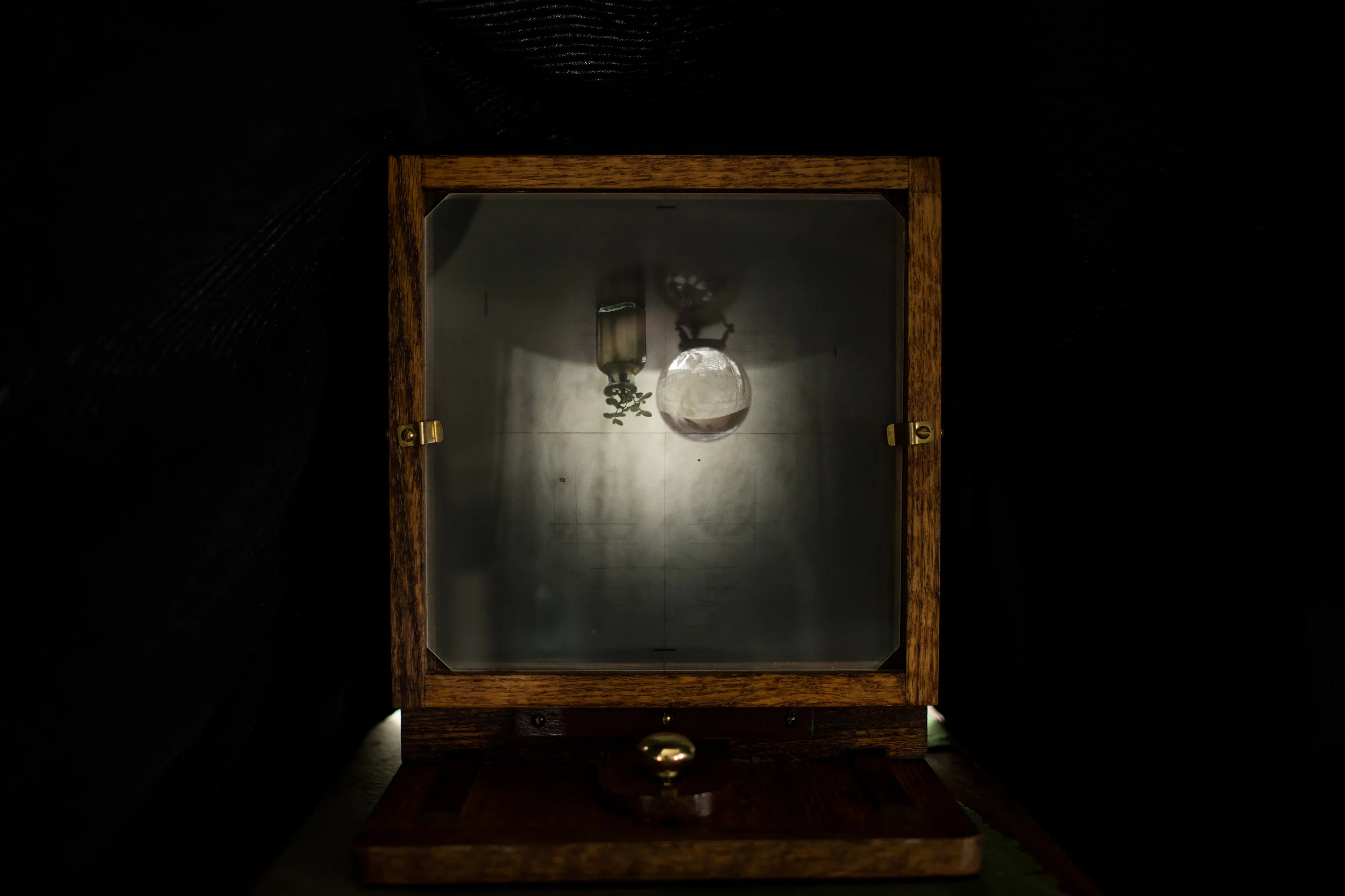 Angie Pember Brockey