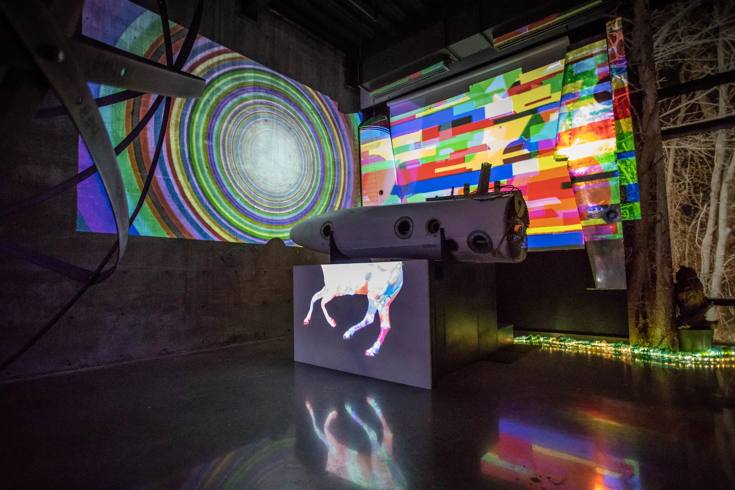 The Experience at AHHA