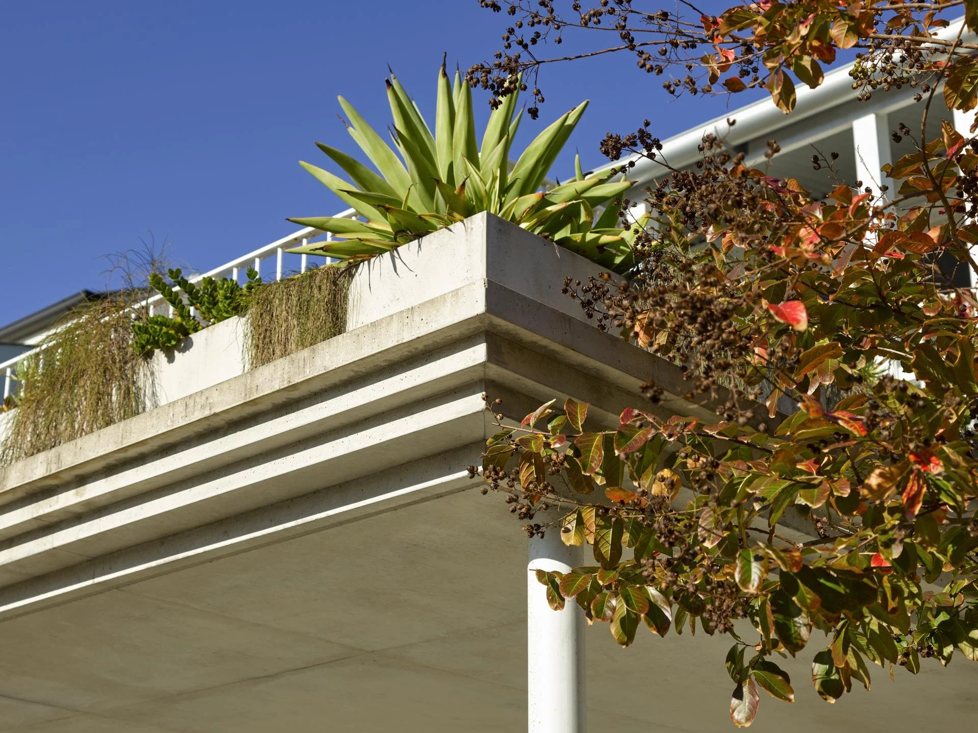 ©CFJ_Kent St Carport-07_compressed.jpeg