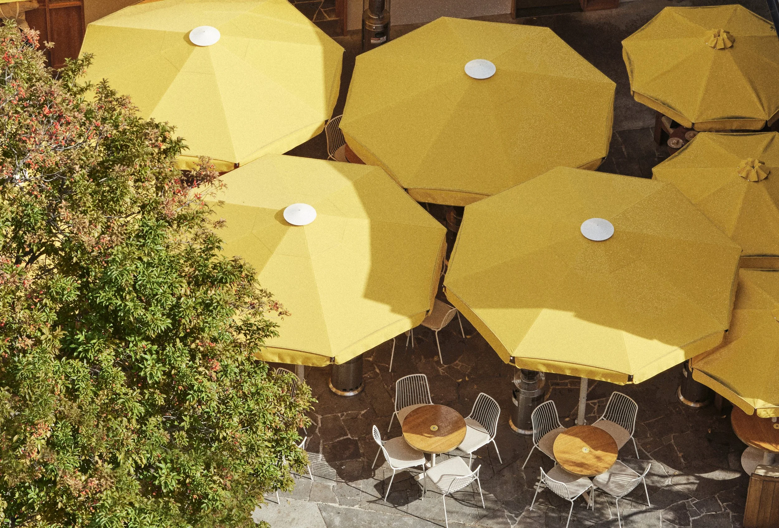 Sunshine via Studio Bland 00617 CROPPED.jpg