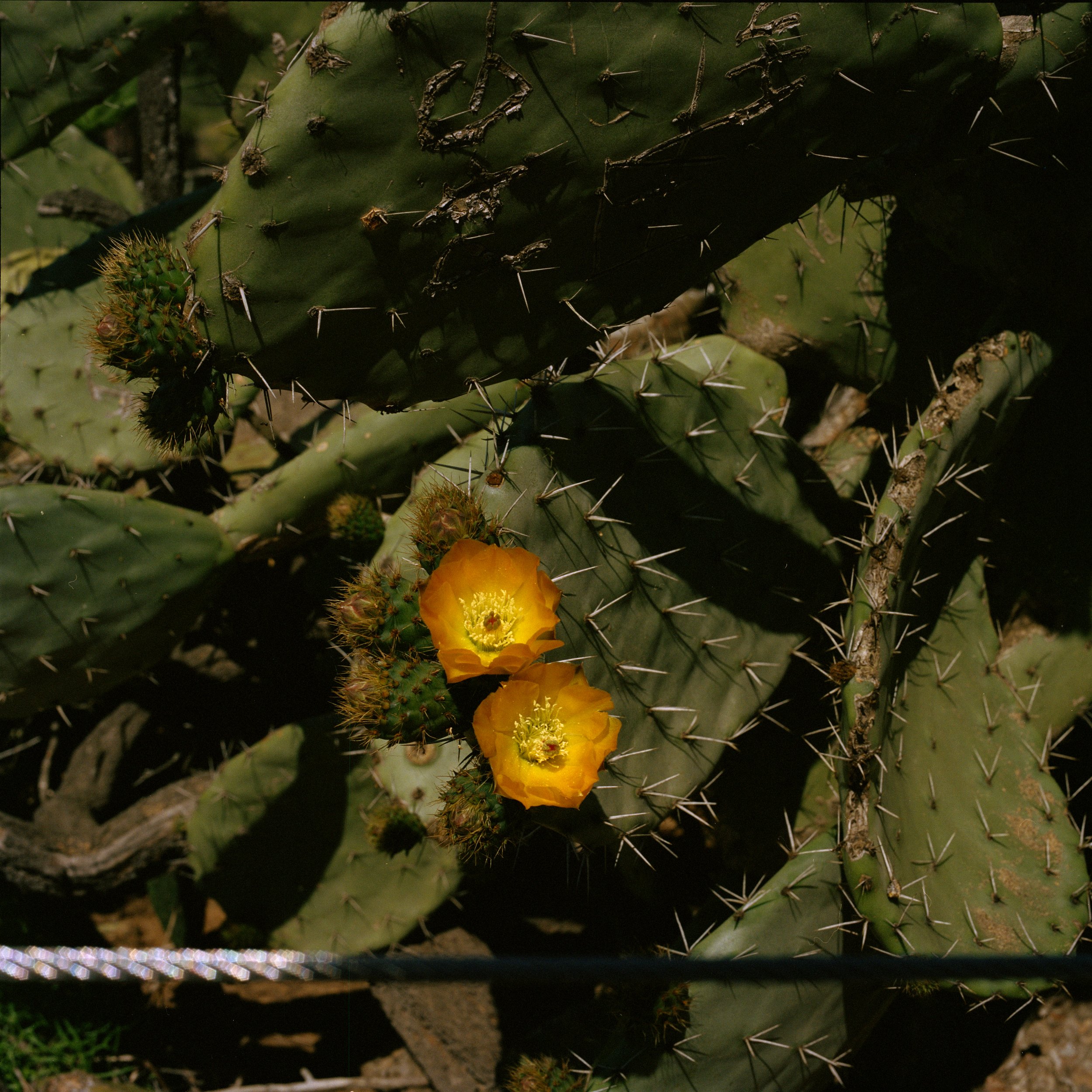 SanDiego-006.jpg