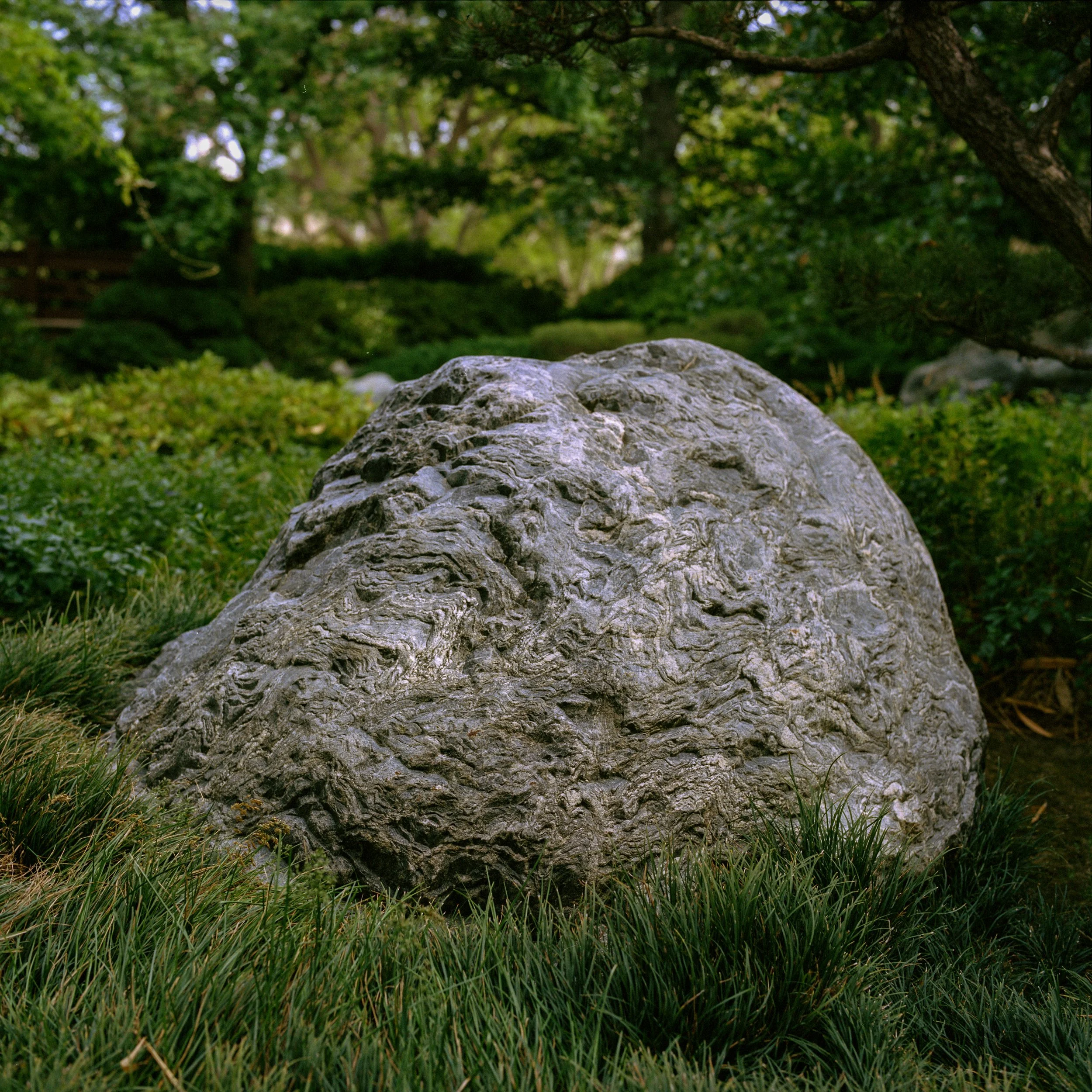 SanDiego-014.jpg