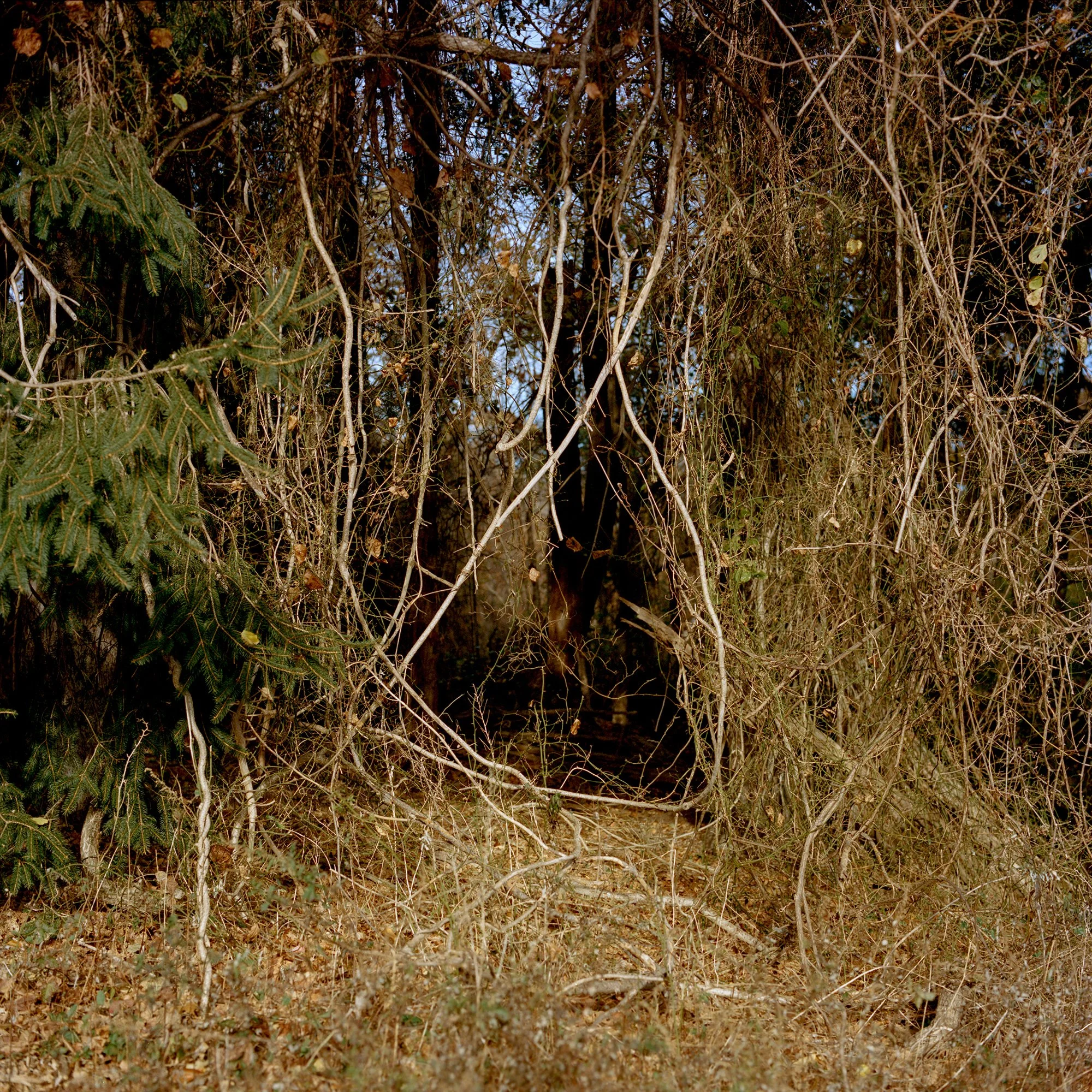 IMG-35.jpg