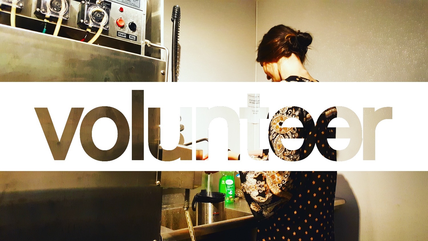 volunteer