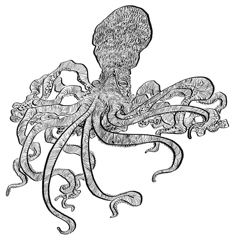 OCTO.jpg