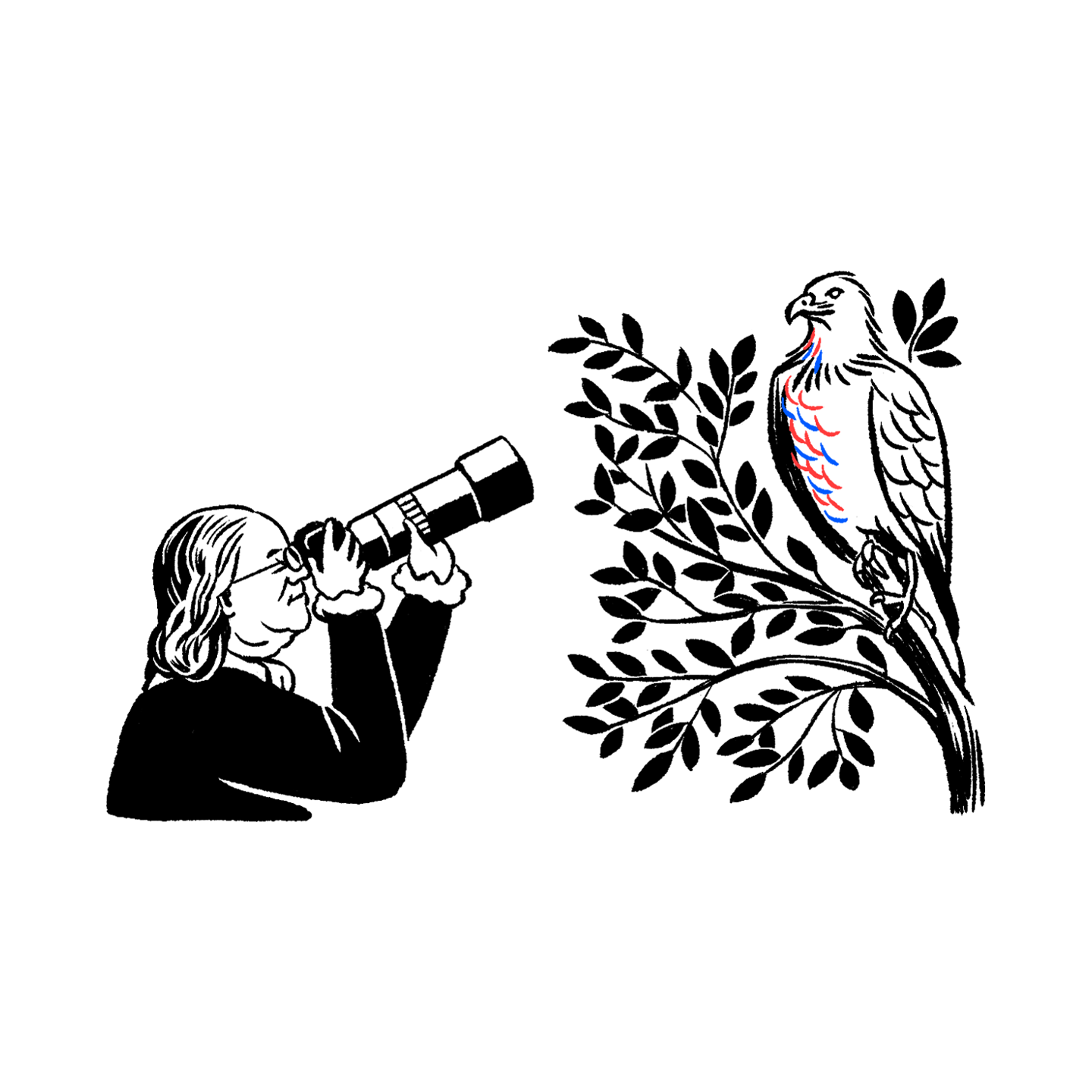 250th-008.png