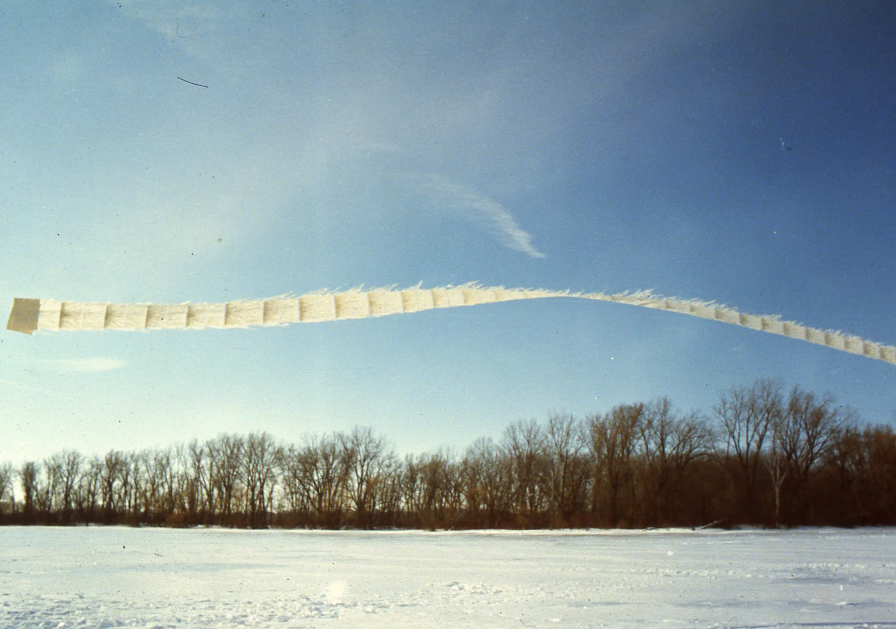 slide8.jpg