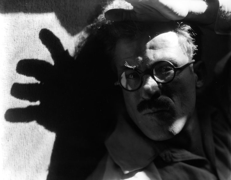 Roi+Partridge+With+Shadow+of+a+Hand,+1922.jpg