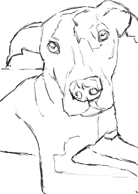 drawing Gif.gif