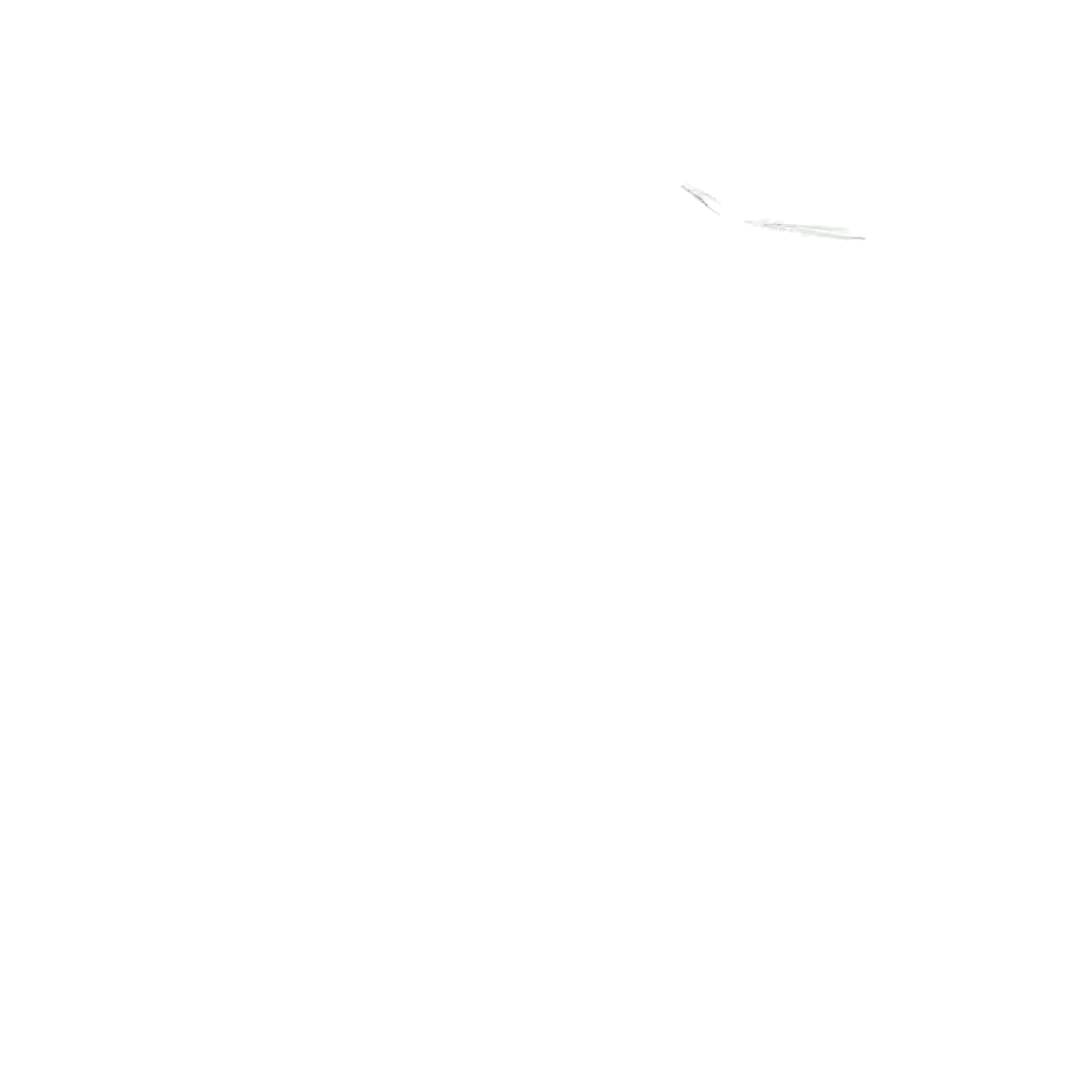 nicholas cockatoo.gif