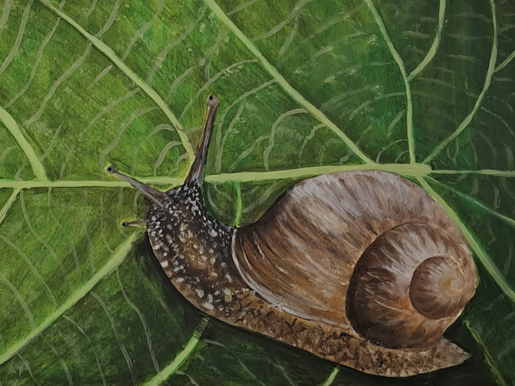 a close up painting of snail on a leaf