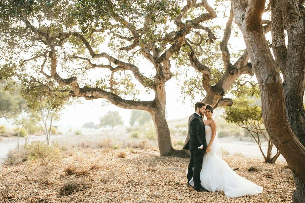 M+B-WEDDING_KBP-207.jpg