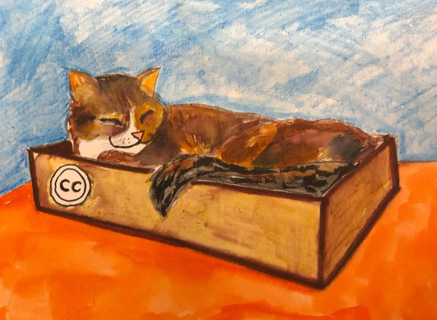 CC Cat.jpg