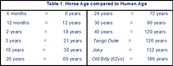 Table1 horse ages.jpg