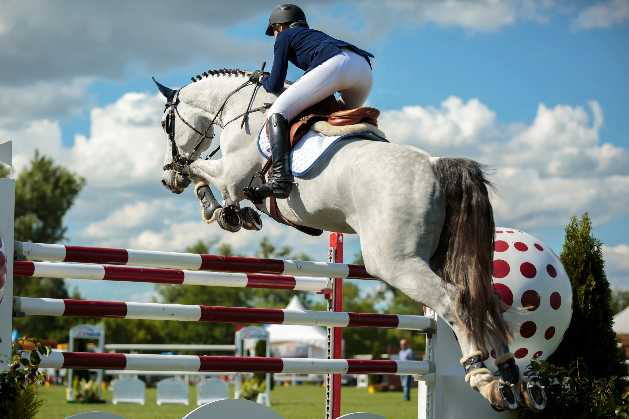 Grey Showjumping.jpg