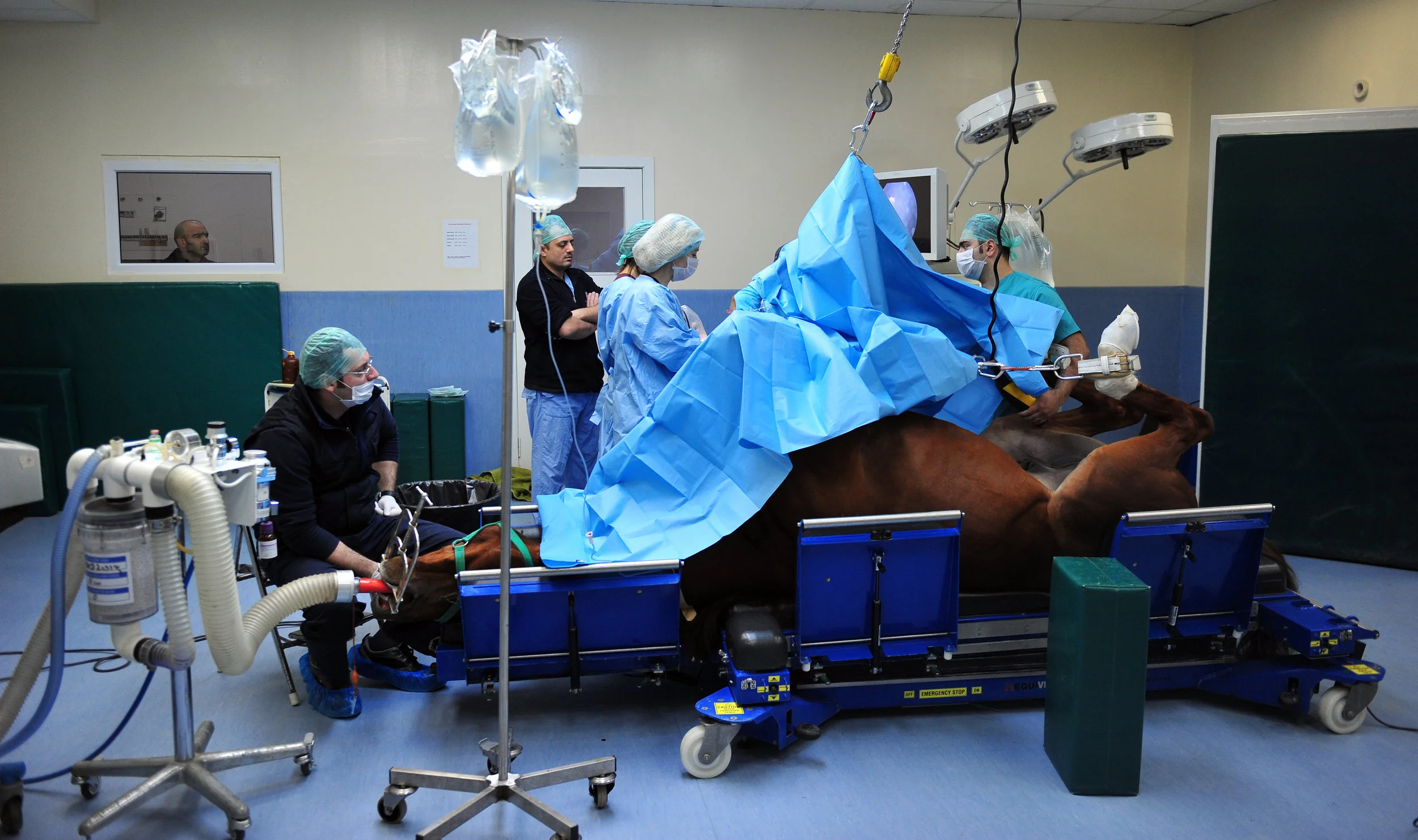 Surgery.jpg