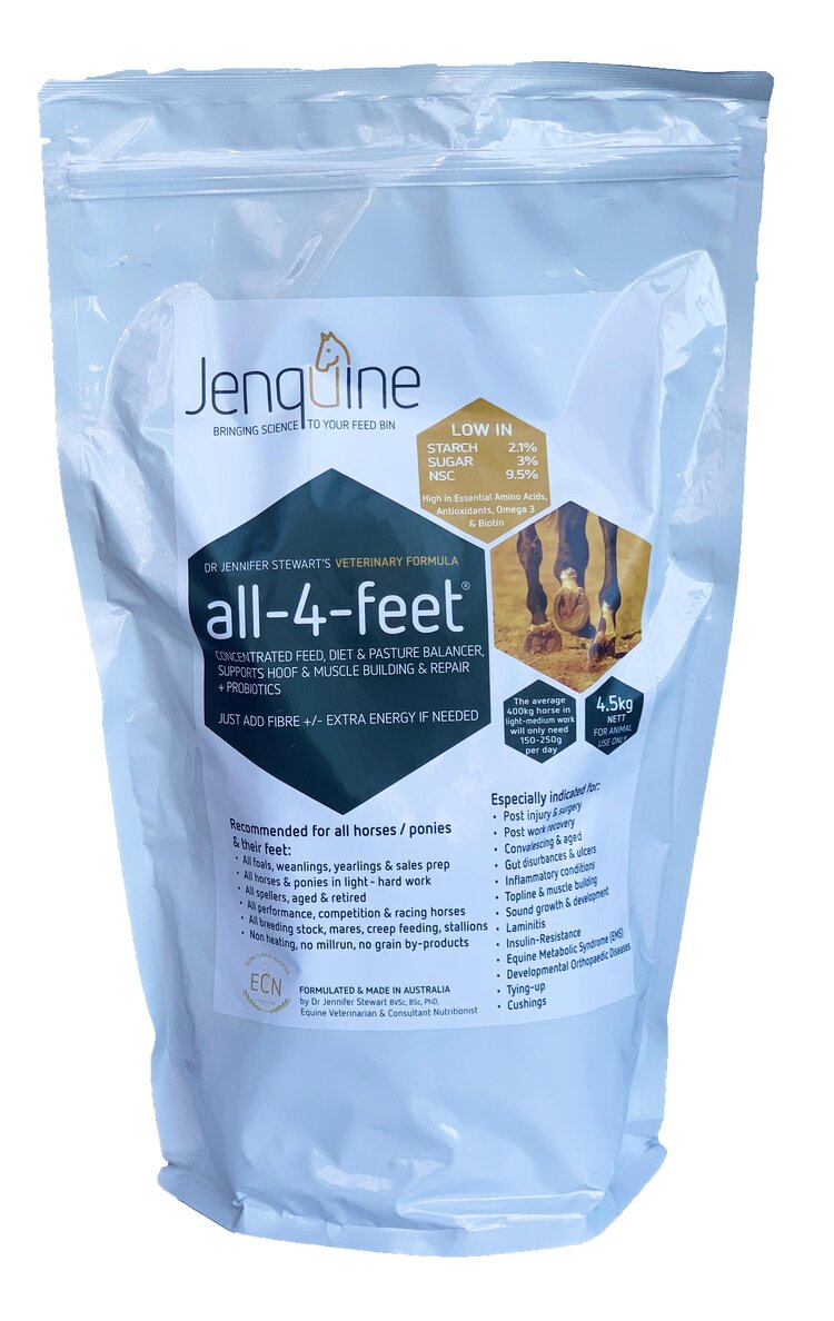 all-4-feet® — Jenquine