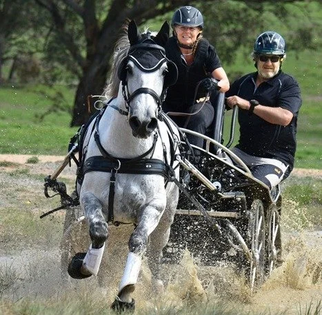A woman and a man riding a white horse in a horse-drawn carriage through water, with the woman smiling and wearing a helmet, and the man wearing sunglasses and a helmet.